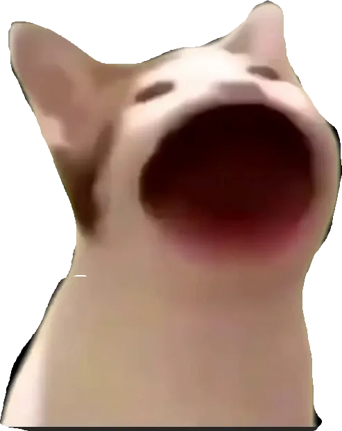 Pop Cat Open